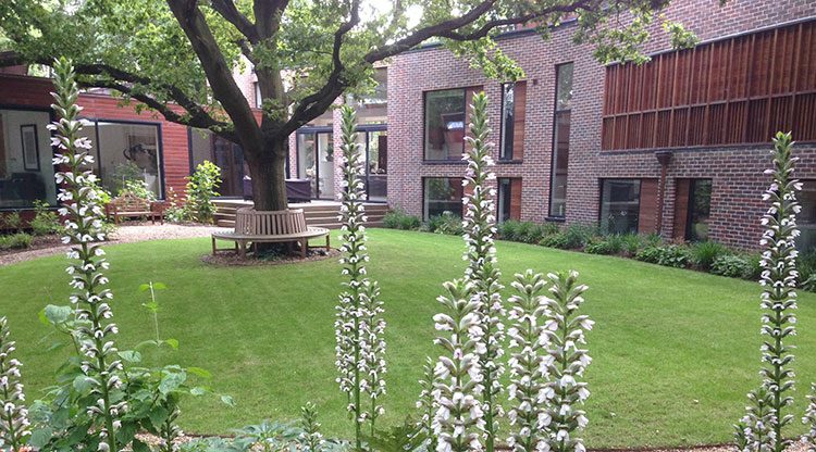 Design, build and planting