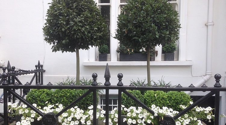 Kensington planters