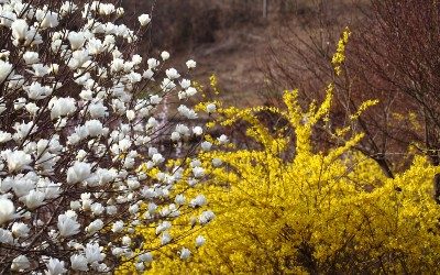 March News – Spring is here