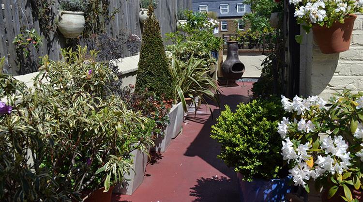 Urban Garden Roof Terrace