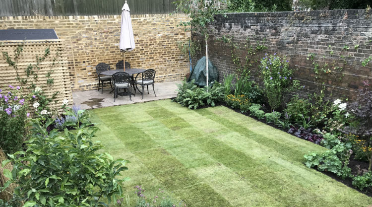 Urban Garden Clapham SW11