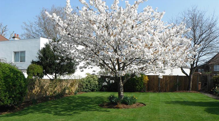 Seasonal garden tidy-ups