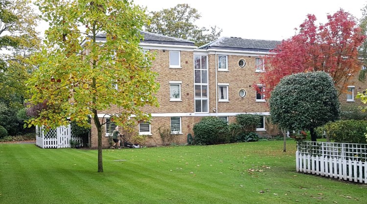 Residential Estate Gardens