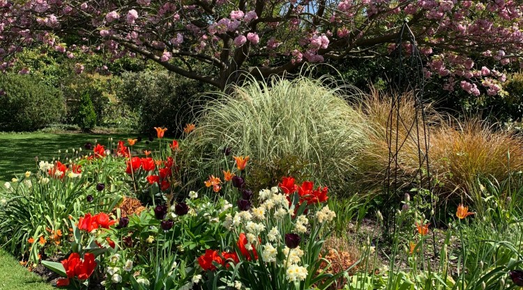 Flowerbed and blossom tree